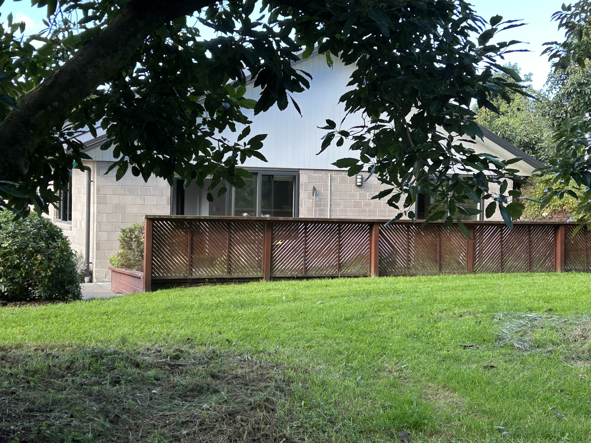 Baybell Lodge viewed through avocado tree leaves, with timber deck and lush green lawns, Omanawa Tauranga